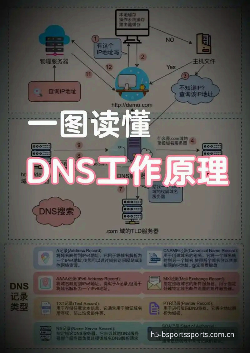 揭秘Bsports登录流程：从注册到安全验证的全链路深度解析